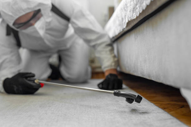 Professional Bed Bug Control technician working in Everett, MA